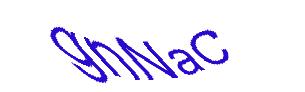 عبارت امنیتی