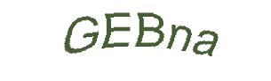 عبارت امنیتی