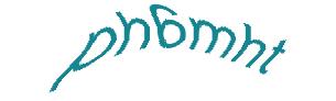 عبارت امنیتی