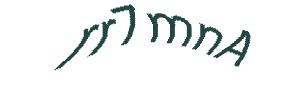 عبارت امنیتی