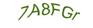 عبارت امنیتی
