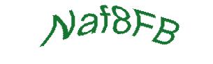 عبارت امنیتی