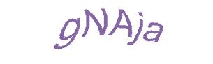 عبارت امنیتی