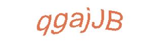 عبارت امنیتی