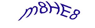 عبارت امنیتی