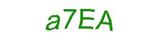 عبارت امنیتی