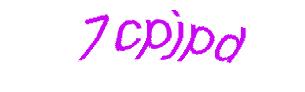 عبارت امنیتی