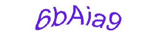 عبارت امنیتی