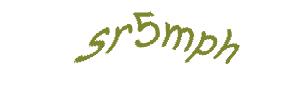عبارت امنیتی