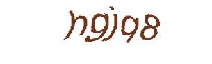 عبارت امنیتی