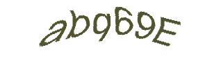 عبارت امنیتی