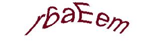 عبارت امنیتی