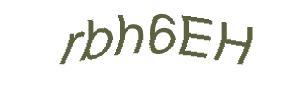 عبارت امنیتی