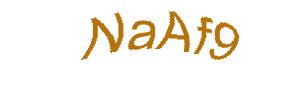عبارت امنیتی