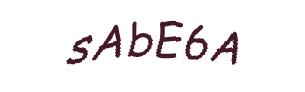 عبارت امنیتی