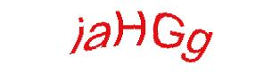عبارت امنیتی