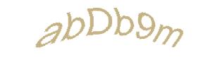 عبارت امنیتی