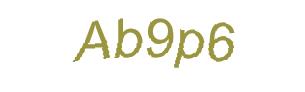 عبارت امنیتی