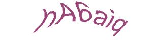 عبارت امنیتی