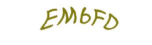 عبارت امنیتی