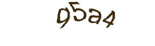 عبارت امنیتی
