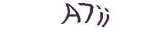 عبارت امنیتی