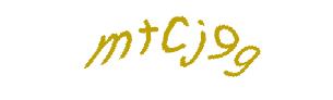 عبارت امنیتی