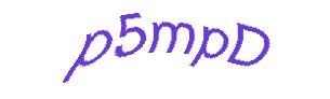 عبارت امنیتی
