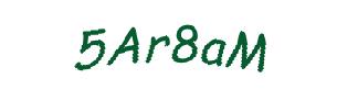 عبارت امنیتی