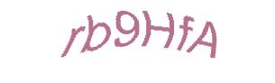 عبارت امنیتی