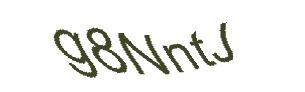 عبارت امنیتی
