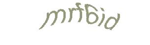 عبارت امنیتی