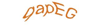 عبارت امنیتی