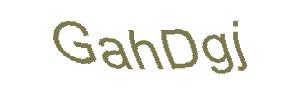 عبارت امنیتی