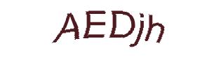 عبارت امنیتی