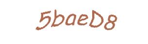 عبارت امنیتی