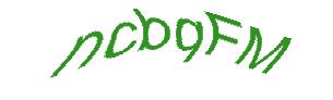 عبارت امنیتی