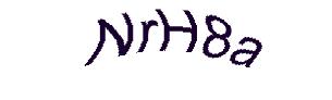 عبارت امنیتی