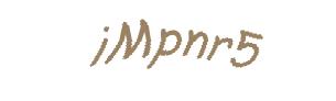 عبارت امنیتی
