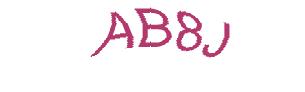 عبارت امنیتی