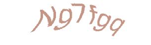 عبارت امنیتی