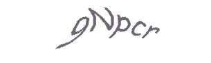 عبارت امنیتی