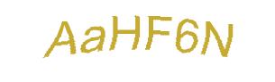 عبارت امنیتی