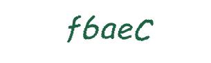 عبارت امنیتی