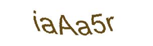 عبارت امنیتی