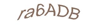 عبارت امنیتی