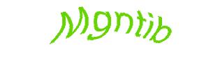 عبارت امنیتی