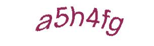 عبارت امنیتی
