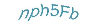 عبارت امنیتی