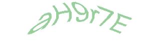 عبارت امنیتی